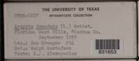 Image Associated With the Occurence